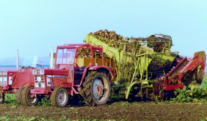 foto